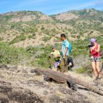 Tourists observing a Komodo dragon with a guide in Komodo National Park